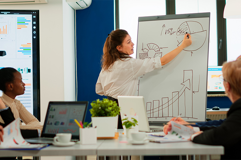 Software Development
